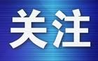 半岛快调查|辽宁德比在即球迷抽中球票却被告知“黄牛没抢到票”